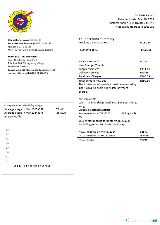 Laos Electricite du Laos electricity business utility bill template in Word and PDF formats